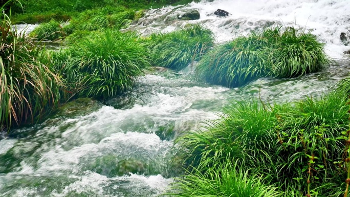（4K合辑商用）自然天然泉水流水小溪溪流
