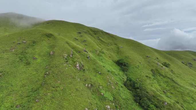 香港鸡公岭高山草原云海