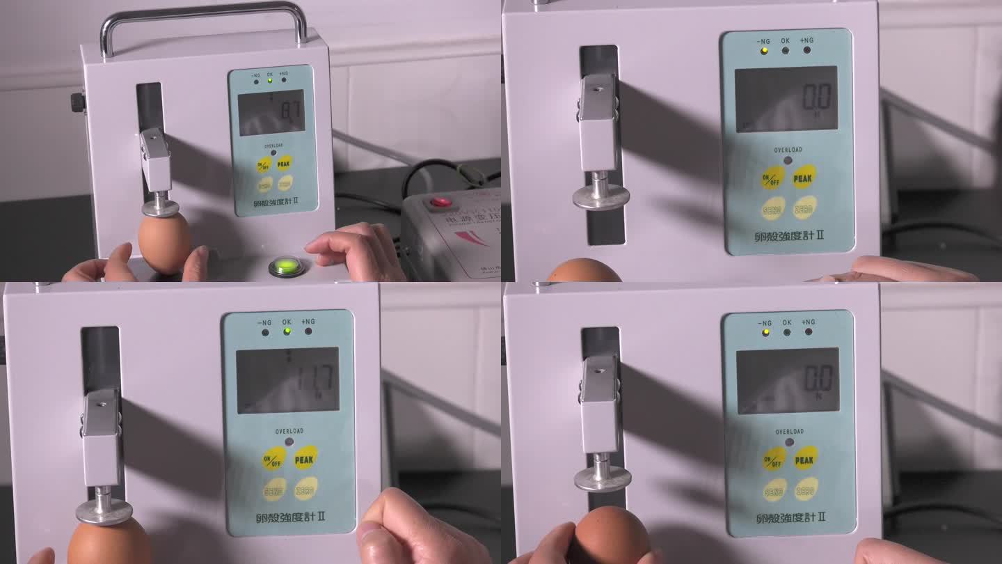 种蛋测量 卵壳强度计 放入鸡蛋 测量数值