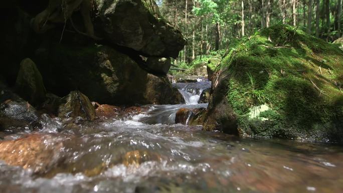 C浙江仙居山泉流水高清视频