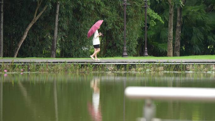 女生撑伞逛公园水倒影