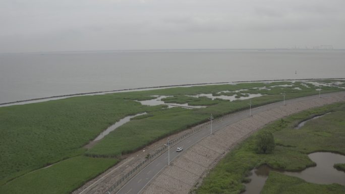 4K-Log-上海青草沙水库堤坝