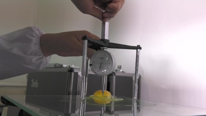 种蛋测量 卵质测定台 测量鸡蛋卵质厚度