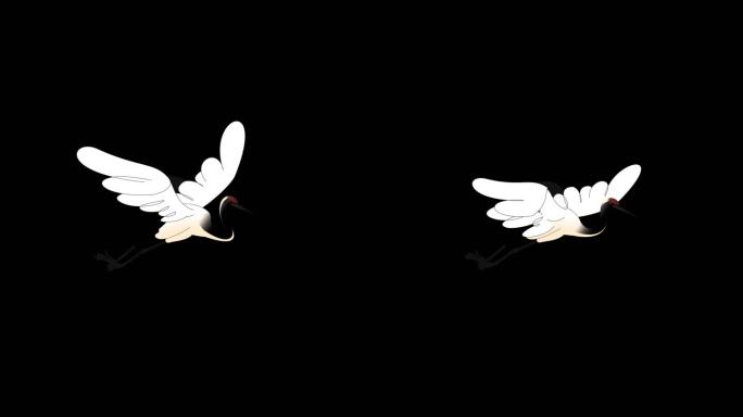 灵动飞翔的丹顶鹤仙鹤循环飞翔 高清动画
