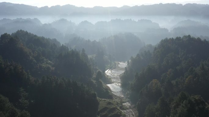 云海 山 雾气 森林 大自然