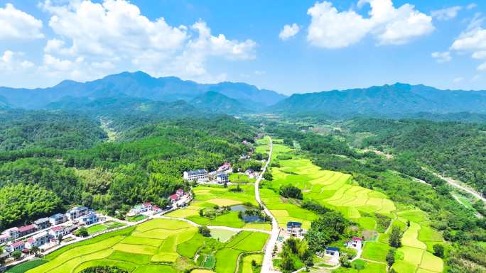 【8分钟】最美山村 美丽乡村 农田