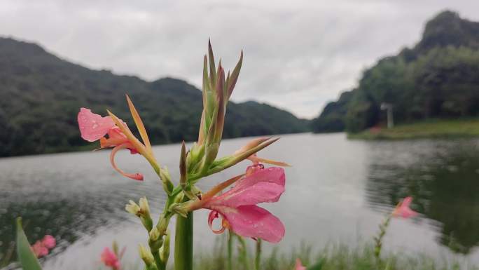 从化天池花海合集