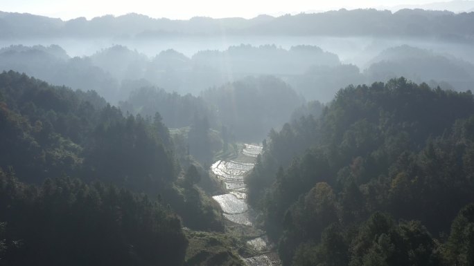 云海 山 雾气 森林 大自然