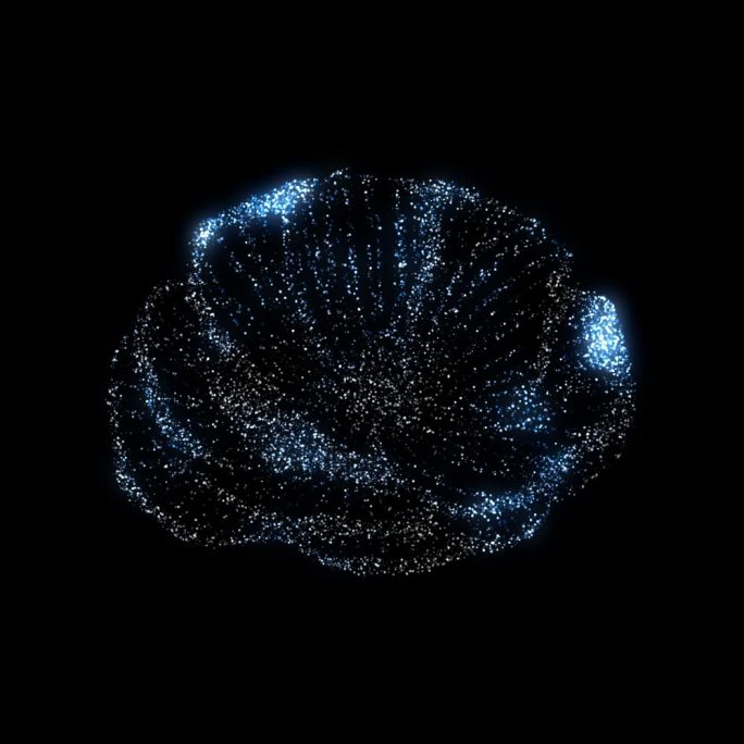 蔷薇-粒子1