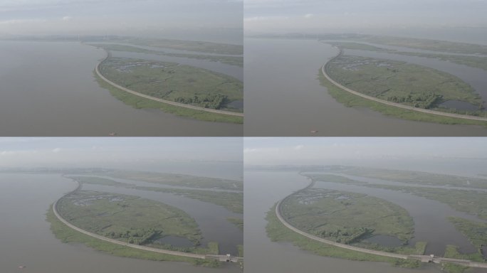 4K-Log-上海青草沙水库江心洲湿地