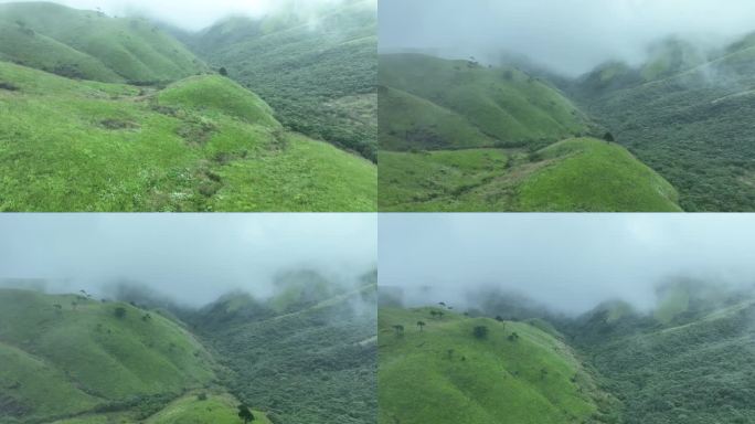 山川草原云海航拍云雾缭绕绿色山丘草地风光