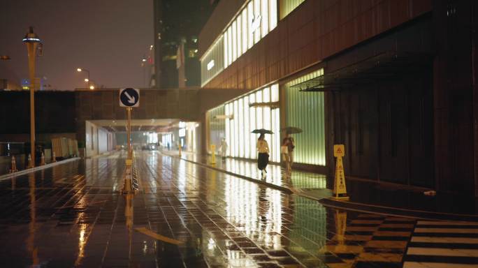 北京雨夜各种特写（升格120p）