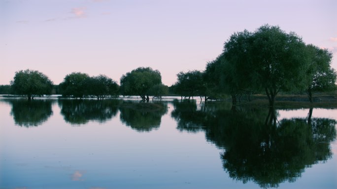 生态湿地