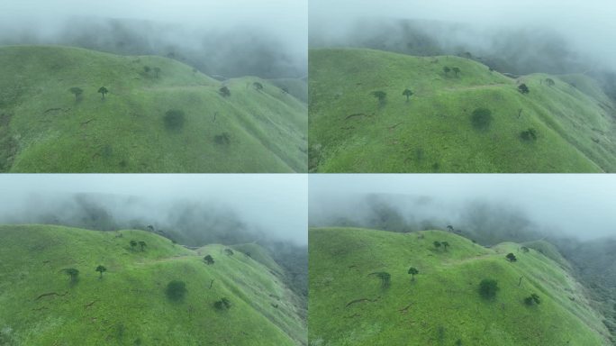 山川草原云海航拍云雾缭绕绿色山丘草地风光