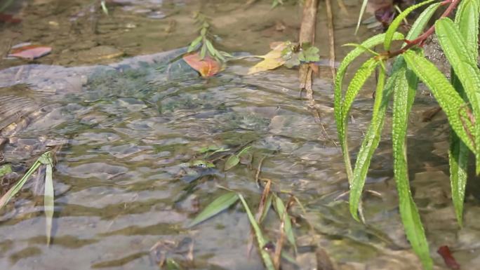 水沟水流小瀑布小溪流