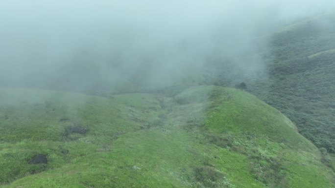 山川草原云海航拍云雾缭绕绿色山丘草地风光