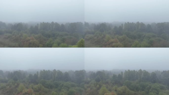 航拍寒温带秋季森林迷雾