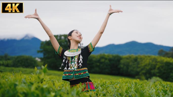 茶园茶山采茶茶园茶园跳舞采茶女采茶姑娘