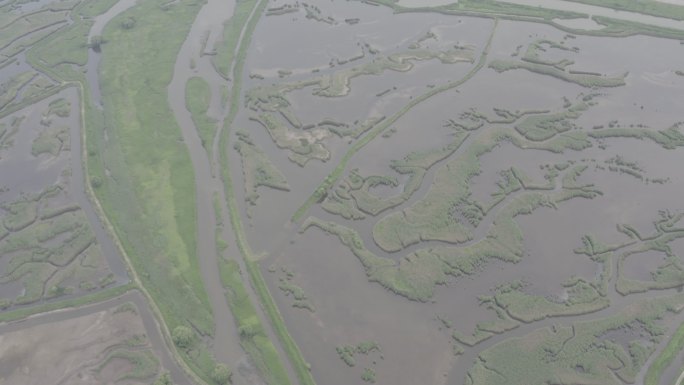 4K-Log-上海青草沙水库湿地自然图腾