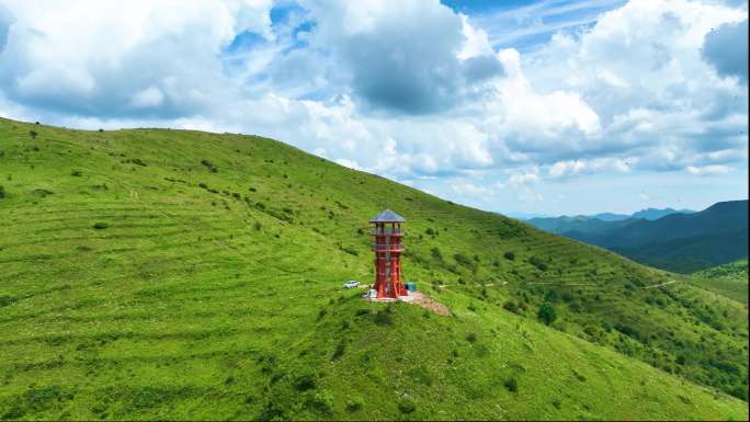 延时 高山草甸、湿地、杜鹃花