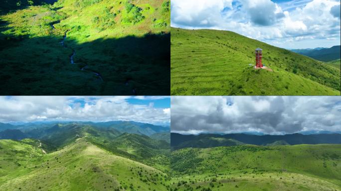 延时 高山草甸、湿地、杜鹃花