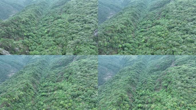 大气山峰森林航拍山川云海山脉壮丽山河风光