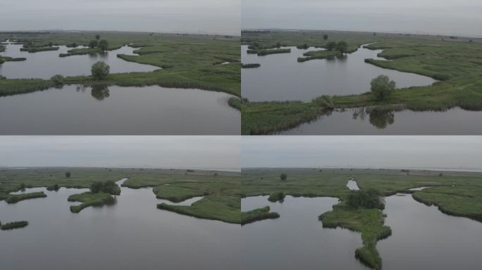 4K-Log-上海青草沙水库江心洲湿地