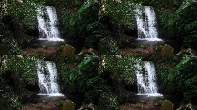 阳光下桂林大山森林中的瀑布流水和栈道