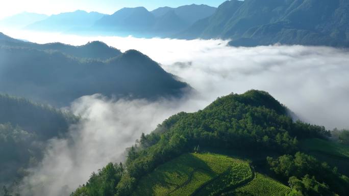 [可商用]4K森林延时云海和美丽乡村