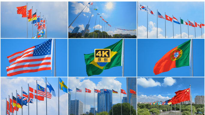 世界各国国旗旗帜飘扬国际合作
