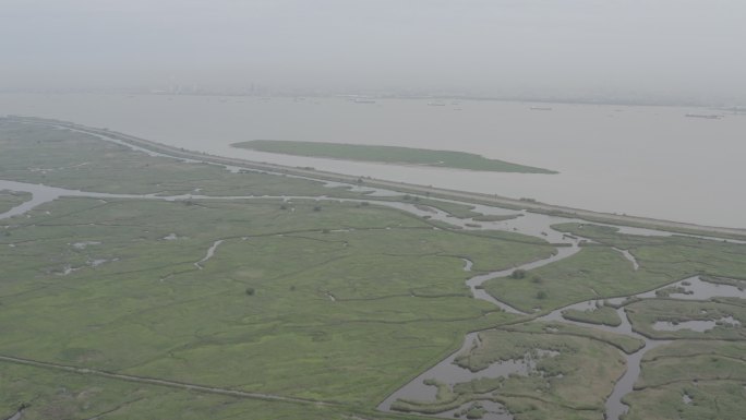 4K-Log-上海青草沙水库江心洲湿地