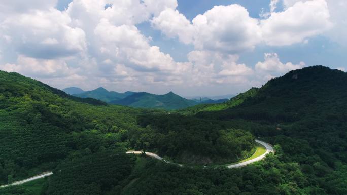 森林公路森林航拍森林公路海南国家森林公园