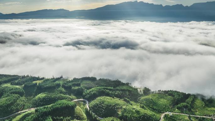 大气磅礴云海涌动茶山云雾缭绕