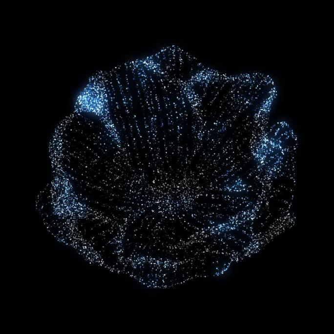 蔷薇-粒子3