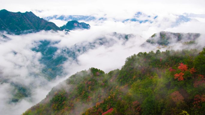 [延时]秋天风景彩林红叶素材合集