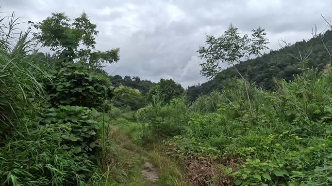 越野车穿越狭窄山路第一视角