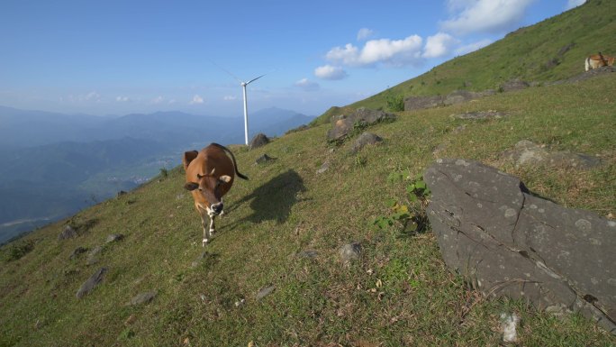 登山爬山高山大山风景生态自然风光