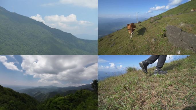 登山爬山高山大山风景生态自然风光