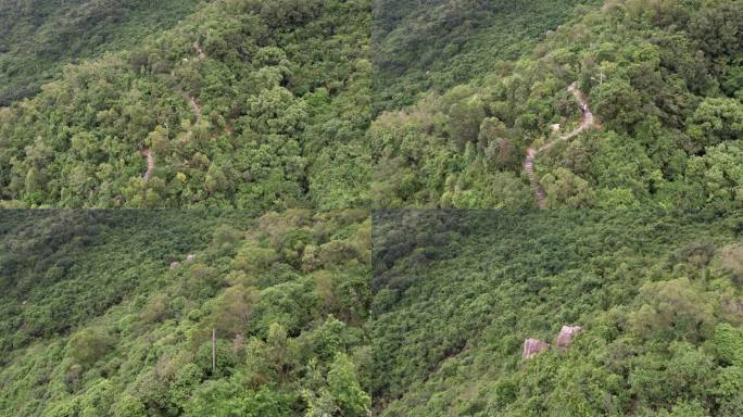 森林 山野 树林 青山