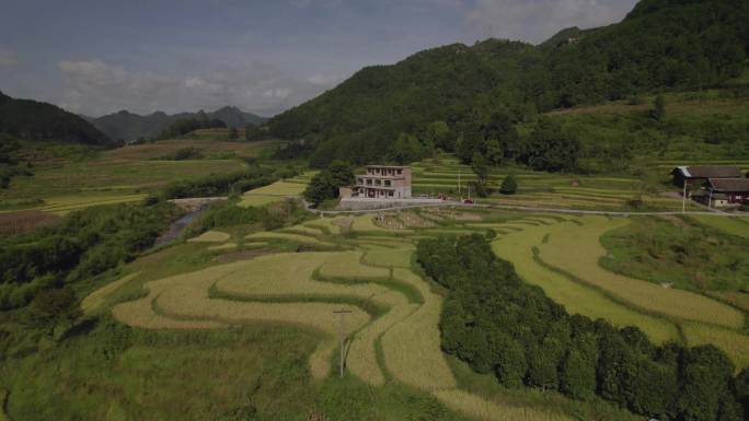 秋天的田园、小河、小桥、小路素材（5K）