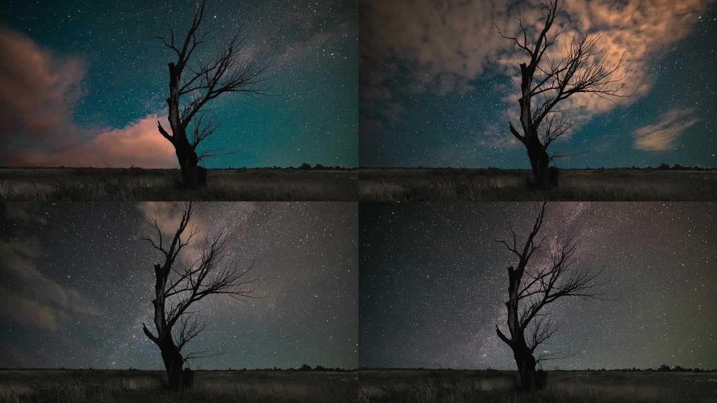 星空和星系背景上的剪影树。移动银河系的时间流逝。