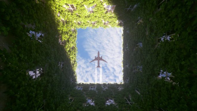 日落时分，飞机在有植被的大楼上空飞行。商业和旅游概念。3D渲染