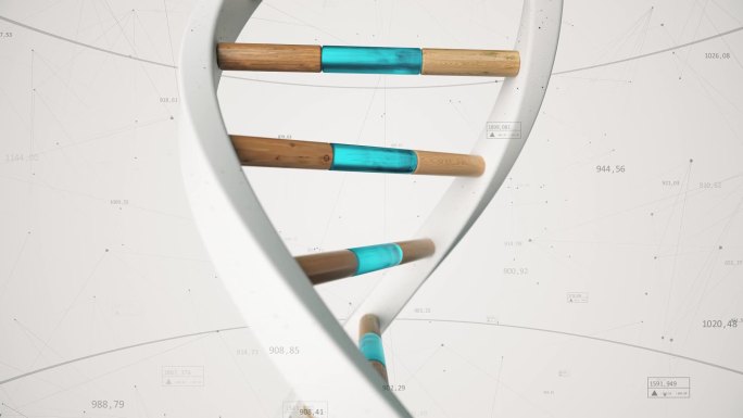 人类DNA的结构是在化合物和数量的背景下旋转的。概念科学技术3D动画无缝循环。