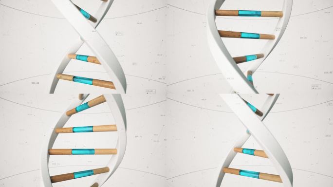 人类DNA的结构是在化合物和数量的背景下旋转的。概念科学技术3D动画无缝循环。