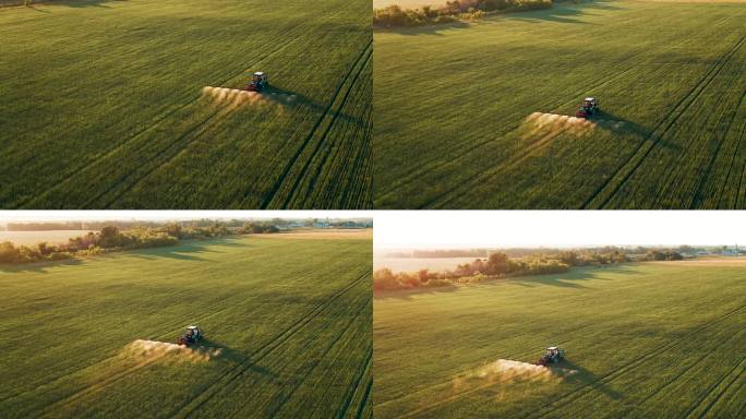 农用拖拉机在田间喷洒厂。俄罗斯普斯科夫地区。地平线上的太阳光线