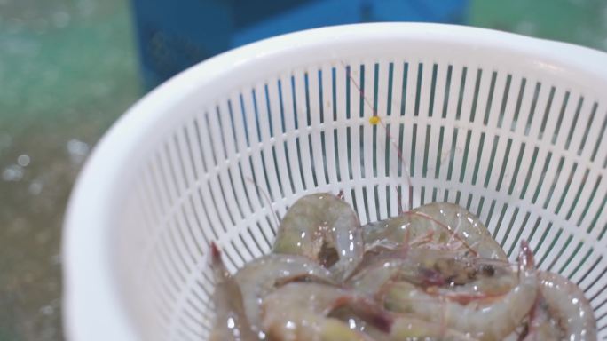 买虾  虾  菜市场   水产品