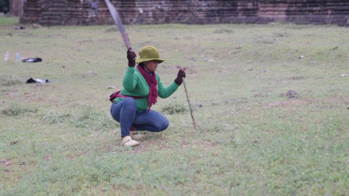 柬埔寨女人耕地