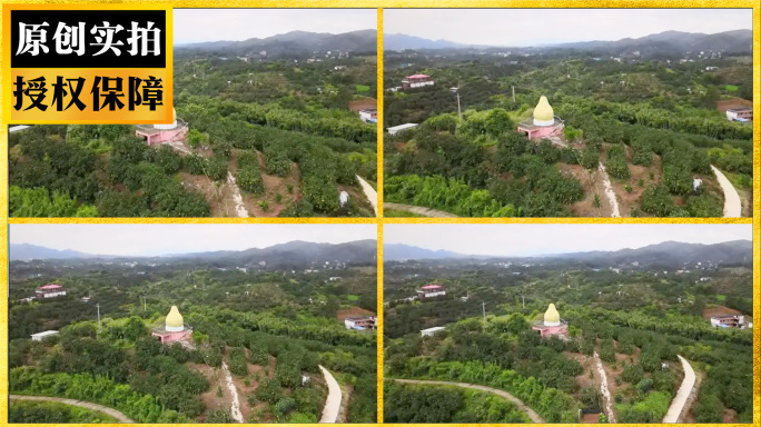 广西容县沙田柚基地航拍