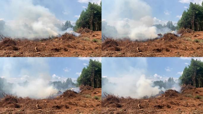 烟雾弥漫 山林防火、荒地焚烧、开垦