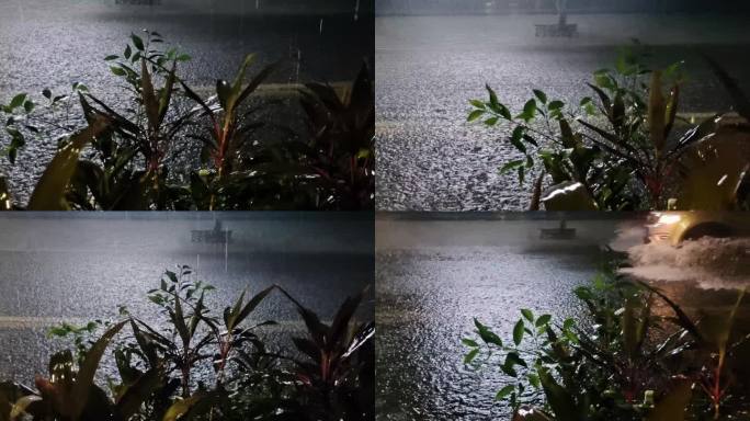 雨丝雨夜下雨绿叶倾盆瓢泼大雨 植物雨滴